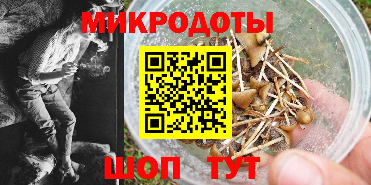 Галлюциногенные грибы Cubensis Семилуки